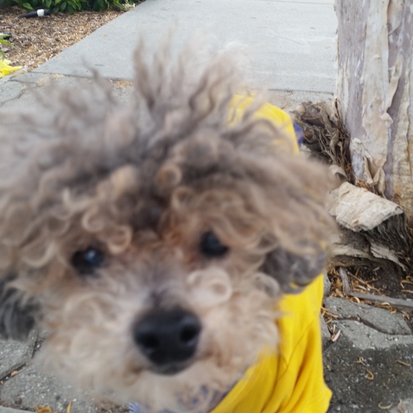 Meet your Posher, A. - Picture 5 of 6